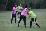 OTFL Gallery Image